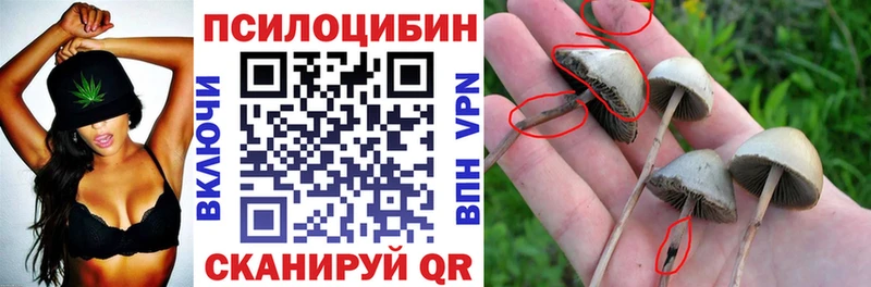 Псилоцибиновые грибы ЛСД  где можно купить   Егорьевск 